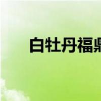 白牡丹福鼎白茶功效（福鼎白茶功效）