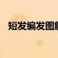 短发编发图解100种（短发编发教程图解）