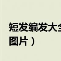 短发编发大全图解步骤（短发编发图解100种图片）