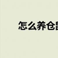 怎么养仓鼠 新手 教程（怎么养仓鼠）