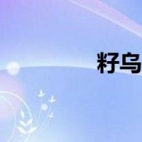 籽乌怎么处理干净（籽乌）