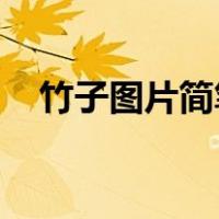 竹子图片简笔画 彩色（竹子图片简笔画）
