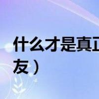 什么才是真正的朋友句子（什么才是真正的朋友）