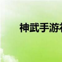 神武手游礼包领取（神武3手游礼包）