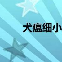 犬瘟细小怎么治疗（细小怎么治疗）