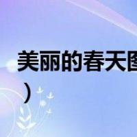 美丽的春天图画幼儿园简单（美丽的春天图画）