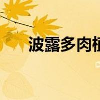 波露多肉植物怎么养（肉植物怎么养）