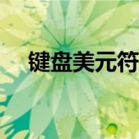 键盘美元符号怎么打（美元符号怎么打）