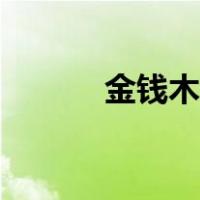 金钱木几天浇一次水（金钱木）