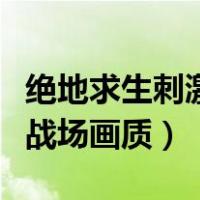 绝地求生刺激战场画质修改器（绝地求生刺激战场画质）