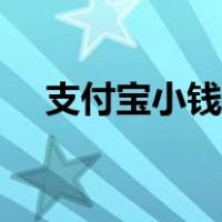 支付宝小钱袋怎么开通（支付宝小钱袋）