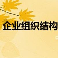企业组织结构图怎么做（组织结构图怎么做）
