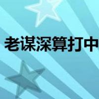 老谋深算打中草药名（老谋深算打一中草药）