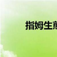 指姆生煎包的做法（煎包的做法）