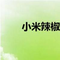小米辣椒水怎么做（辣椒水怎么做）