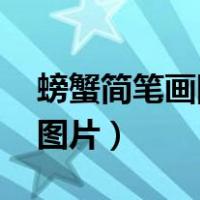螃蟹简笔画图片大全大图 彩色（螃蟹简笔画图片）
