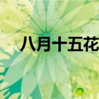 八月十五花灯制作视频（花灯制作视频）