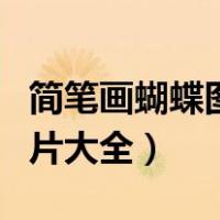 简笔画蝴蝶图片大全大图彩色（简笔画蝴蝶图片大全）