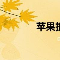 苹果拆机图纸（苹果拆机图）
