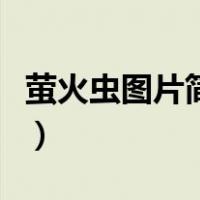 萤火虫图片简笔画带背景（萤火虫图片简笔画）
