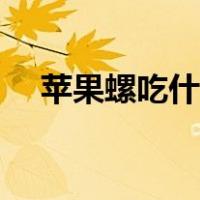苹果螺吃什么最快繁殖（苹果螺吃什么）