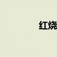红烧猪肚图片（红烧猪肚）