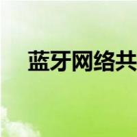 蓝牙网络共享什么意思（蓝牙网络共享）