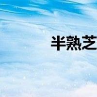 半熟芝士怎么做（芝士怎么做）