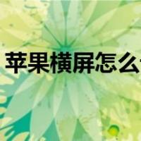 苹果横屏怎么设置ipad（苹果横屏怎么设置）
