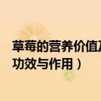 草莓的营养价值及功效与作用和禁忌症（草莓的营养价值及功效与作用）