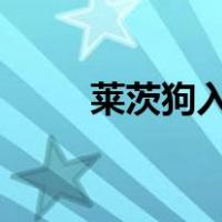 莱茨狗入口在哪?（莱茨狗怎么玩）