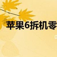 苹果6拆机零件详细图解高清（苹果6拆机）