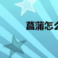 菖蒲怎么养殖的（菖蒲怎么养殖）