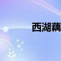 西湖藕粉怎么泡（藕粉怎么泡）