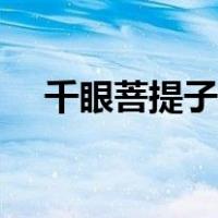 千眼菩提子怎么盘玩（菩提子怎么盘玩）