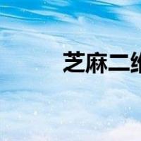 芝麻二维码解码器（芝麻二维码）