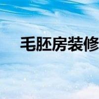 毛胚房装修流程步骤（毛胚房装修流程）
