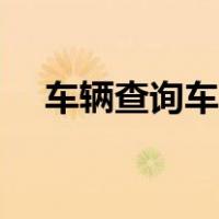 车辆查询车主信息查询（车辆查询车主）