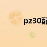 pz30配电箱图片（配电箱图片）