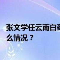张文学任云南白药集团股份有限公司党委委员、书记 这是什么情况？