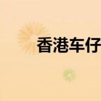 香港车仔面的做法（车仔面的做法）