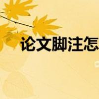 论文脚注怎么加括号（论文脚注怎么加）