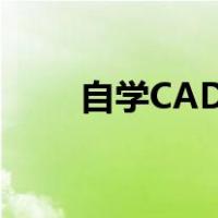 自学CAD制图教程（自学cad制图）