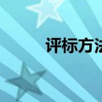 评标方法及评标规则（评标方法）