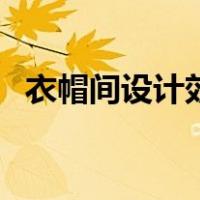 衣帽间设计效果图纸（衣帽间设计效果图）