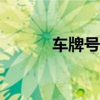 车牌号识别车型（车牌号识别）