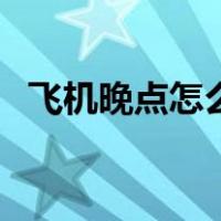 飞机晚点怎么办赔偿吗（飞机晚点怎么办）