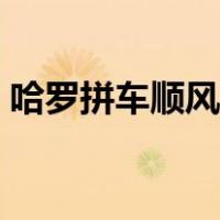 哈罗拼车顺风车注册条件（顺风车注册条件）