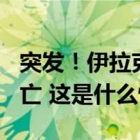 突发！伊拉克一婚礼发生火灾，至少100人死亡 这是什么情况？