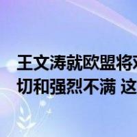 王文涛就欧盟将对中国电动汽车发起反补贴调查表达严正关切和强烈不满 这是什么情况？